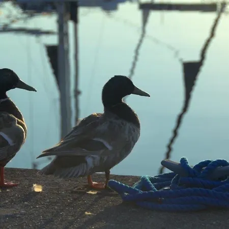 Ancora Marina Haus 1 Nr 04, Typ 2 דירה *